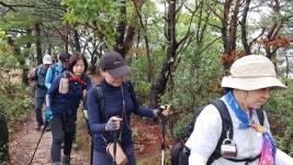 2025년 10월 11일 정기걷기 - 8구간 - 8구간-산 우에 바닷길 - 바우길 바우길