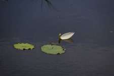 ♣테라씨의 인간극장~ - 16구간-학이시습지길 - 바우길 바우길