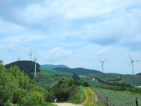 ♤ 안반데기에서 인생을 배우다 ! - 17구간-안반데기 운유길 - 바우길 바우길