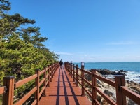 ♤해파랑길 걷기~ 4코스 - 해파랑길 함께걸어요 - 바우길 바우길
