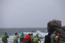 ♣하얀 포말에 마음을 담아~ - 9구간-헌화로 산책길 - 바우길 바우길