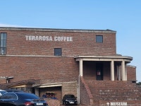 ♤ 해파랑길과 함께 하는 강릉 노거수 100선 마지막회 (11/26) - 바우길 외 걷기와 산행후기 - 바우길 ♤ 해파랑길과 함께 하는 강릉 노거수... 