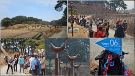 바우님들 모두 빛나는 삶을 살아가시길! - 6구간-굴산사 가는길 - 바우길 바우길