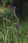 ♣잠시동안 열 살~ - 16구간-학이시습지길 - 바우길 바우길