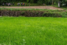 ...? 그래요 그래도, 걷기만 했는데요 - 15구간-강릉수목원 가는길 - 바우길 바우길