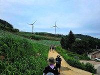 ♤ 안반데기에서 인생을 배우다 ! - 17구간-안반데기 운유길 - 바우길 바우길