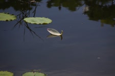 ♣테라씨의 인간극장~ - 16구간-학이시습지길 - 바우길 바우길