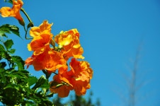 저 언덕 위로 물결 같이 춤추던 ... - 16구간-학이시습지길 - 바우길 바우길