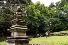 ...? 그래요 그래도, 걷기만 했는데요 - 15구간-강릉수목원 가는길 - 바우길 바우길