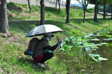 저 언덕 위로 물결 같이 춤추던 ... - 16구간-학이시습지길 - 바우길 바우길
