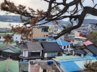 ♤ 해파랑길 걷기~ 13코스 - 해파랑길 함께걸어요 - 바우길 바우길