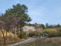 ♤해파랑길 걷기~25코스(3/22) - 해파랑길 함께걸어요 - 바우길 바우길