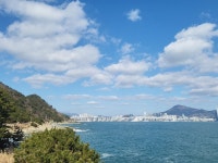 ♤ 해파랑길의 시작 1구간~ - 해파랑길 함께걸어요 - 바우길 바우길