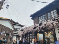 ♤삼일절 구룡포 근대역사문화거리를 가다 - 해파랑길 함께걸어요 - 바우길 바우길
