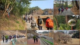 바우님들 모두 빛나는 삶을 살아가시길! - 6구간-굴산사 가는길 - 바우길 바우길