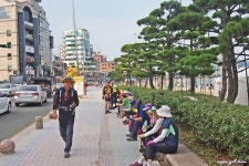 처음 걸었던 해파랑길 1구간 - 해파랑길 함께걸어요 - 바우길 바우길