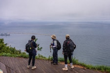 8구간에서 - 길은 사람이였습니다. - 8구간-산 우에 바닷길 - 바우길 바우길