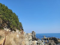 ♤ 해파랑길 걷기~ 21코스 (3/19) - 해파랑길 함께걸어요 - 바우길 바우길