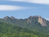 ♤ 북한과 도봉산을 연결하는 서울둘레길 8코스를 걷다~(2) - 4/23 - 바우길 외 걷기와 산행 함께갑시다 - 바우길 바우길