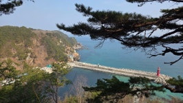 ♤ 9구간 점검 다녀왔습니다 ^^ - 9구간-헌화로 산책길 - 바우길 바우길