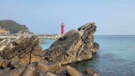 ♤ 9구간 점검 다녀왔습니다 ^^ - 9구간-헌화로 산책길 - 바우길 바우길