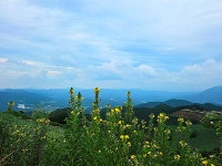 ♤ 안반데기에서 인생을 배우다 ! - 17구간-안반데기 운유길 - 바우길 바우길