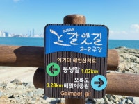 ♤ 해파랑길의 시작 1구간~ - 해파랑길 함께걸어요 - 바우길 바우길