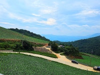 ♤ 안반데기에서 인생을 배우다 ! - 17구간-안반데기 운유길 - 바우길 바우길