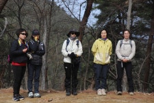 ♣꽃이 피면 같이 웃어요~ - 10구간-심스테파노길 - 바우길 바우길