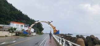 ♤ 9구간 헌화로산책길 사전점검 ! - 9구간-헌화로 산책길 - 바우길 바우길