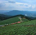 ♤ 안반데기에서 인생을 배우다 ! - 17구간-안반데기 운유길 - 바우길 바우길