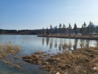 ♤ 해파랑길과 함께 하는 강릉 노거수 100선 마지막회 (11/26) - 바우길 외 걷기와 산행후기 - 바우길 ♤ 해파랑길과 함께 하는 강릉 노거수... 