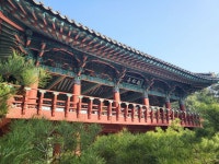 ♤해파랑길 걷기~ 24코스(3/ 21) - 해파랑길 함께걸어요 - 바우길 바우길