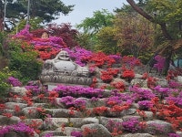♤ 북한과 도봉산을 연결하는 서울둘레길 8코스를 걷다~(2) - 4/23 - 바우길 외 걷기와 산행 함께갑시다 - 바우길 바우길