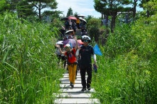 저 언덕 위로 물결 같이 춤추던 ... - 16구간-학이시습지길 - 바우길 바우길