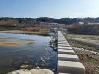 ♤ 해파랑길과 함께 하는 강릉 노거수 100선 마지막회 (11/26) - 바우길 외 걷기와 산행후기 - 바우길 ♤ 해파랑길과 함께 하는 강릉 노거수... 