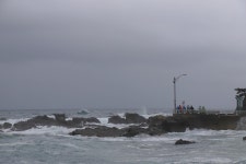 ♣하얀 포말에 마음을 담아~ - 9구간-헌화로 산책길 - 바우길 바우길