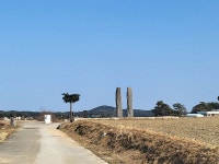 ♤ 해파랑길과 함께 하는 강릉 노거수 100선 마지막회 (11/26) - 바우길 외 걷기와 산행후기 - 바우길 ♤ 해파랑길과 함께 하는 강릉 노거수... 