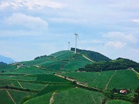 ♤ 안반데기에서 인생을 배우다 ! - 17구간-안반데기 운유길 - 바우길 바우길