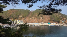 ♤ 9구간 점검 다녀왔습니다 ^^ - 9구간-헌화로 산책길 - 바우길 바우길