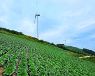 ♤ 안반데기에서 인생을 배우다 ! - 17구간-안반데기 운유길 - 바우길 바우길