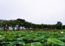 11구간 - 허~브님, 테라님따라 이어지는 순간들입니다. - 11구간-신사임당길 - 바우길 바우길