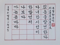 가는 곳 마다. - 자유글 - 바우길 바우길