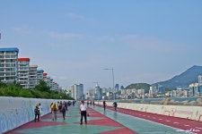 처음 걸었던 해파랑길 1구간 - 해파랑길 함께걸어요 - 바우길 바우길