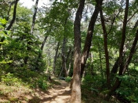 부산엄광산나들숲길3 - ─‥‥‥작품°♡˚안창님 - 생기도는 사랑방 부산엄광산나들숲길3