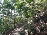 부산엄광산나들숲길2 - ─‥‥‥작품°♡˚안창님 - 생기도는 사랑방 부산엄광산나들숲길2