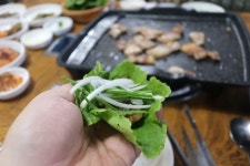 진안 맛집 샘터가든 흑돼지 맛있네요 - 맛집 - 진안 맛집 진안 맛집 샘터가든 흑돼지 맛있네요