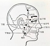 이목구비와 정체요법 - 두개골 척추골반 정체요법 - KM 광명의학 광명건강 kmhealth 이목구비와 정체요법