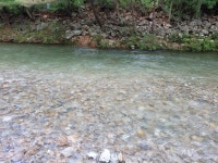 #지리산 뱀사골 및 달궁계곡 여행기 - ■ 2020년 산행후기 ■ - 대구 다모아 산우회 #지리산 뱀사골 및 달궁계곡 여행기