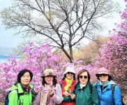 [시산맥] 4월 11일 부천 원미산 산행 - ―······시산맥 카페앨범 - 시 산 맥 시 산 맥 